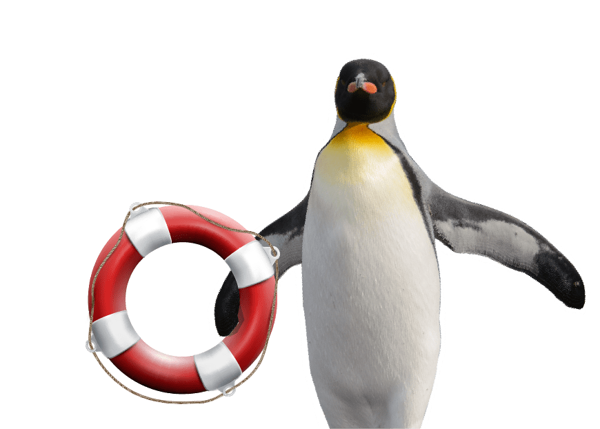 penguin