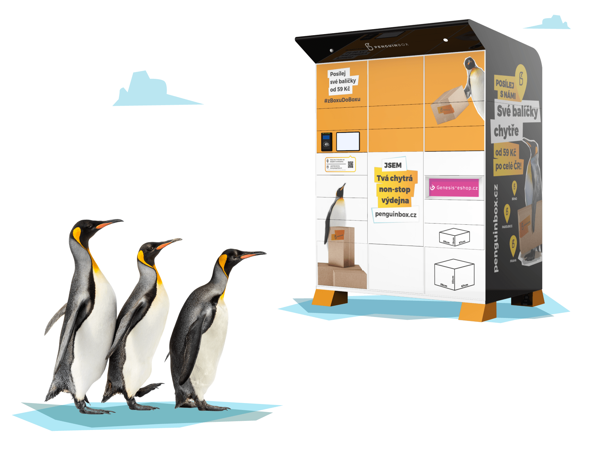 Penguin Box